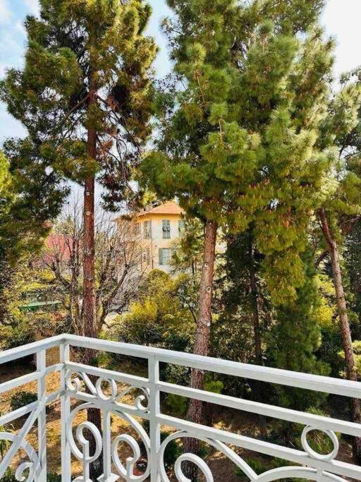Apartment Un Diamante In Bordighera